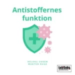 Antistoffernes funktion